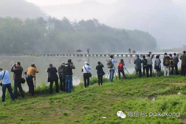 摄影狗，没女友，见了都得绕着走｜推荐