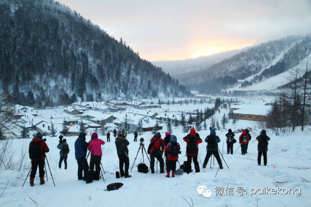 摄影狗，没女友，见了都得绕着走｜推荐