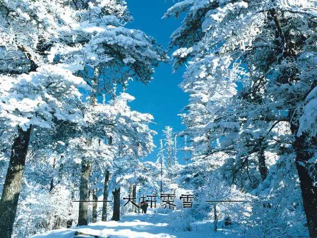 峨眉山景点必去景区有哪些,峨眉山风景区必去的几个寺