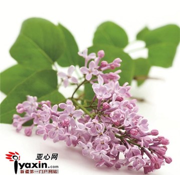 五一劳动节吃喝玩乐,五一吃喝玩乐活动策划