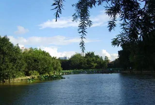 深圳最美的看海公园,深圳最美湖泊公园