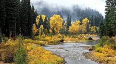 这个五一不出门完整版,巴中五一出发