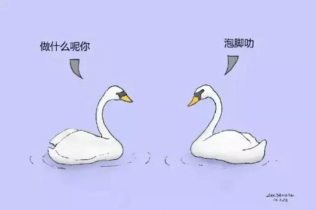 我喜欢杯子寓意,喜欢的小杯子