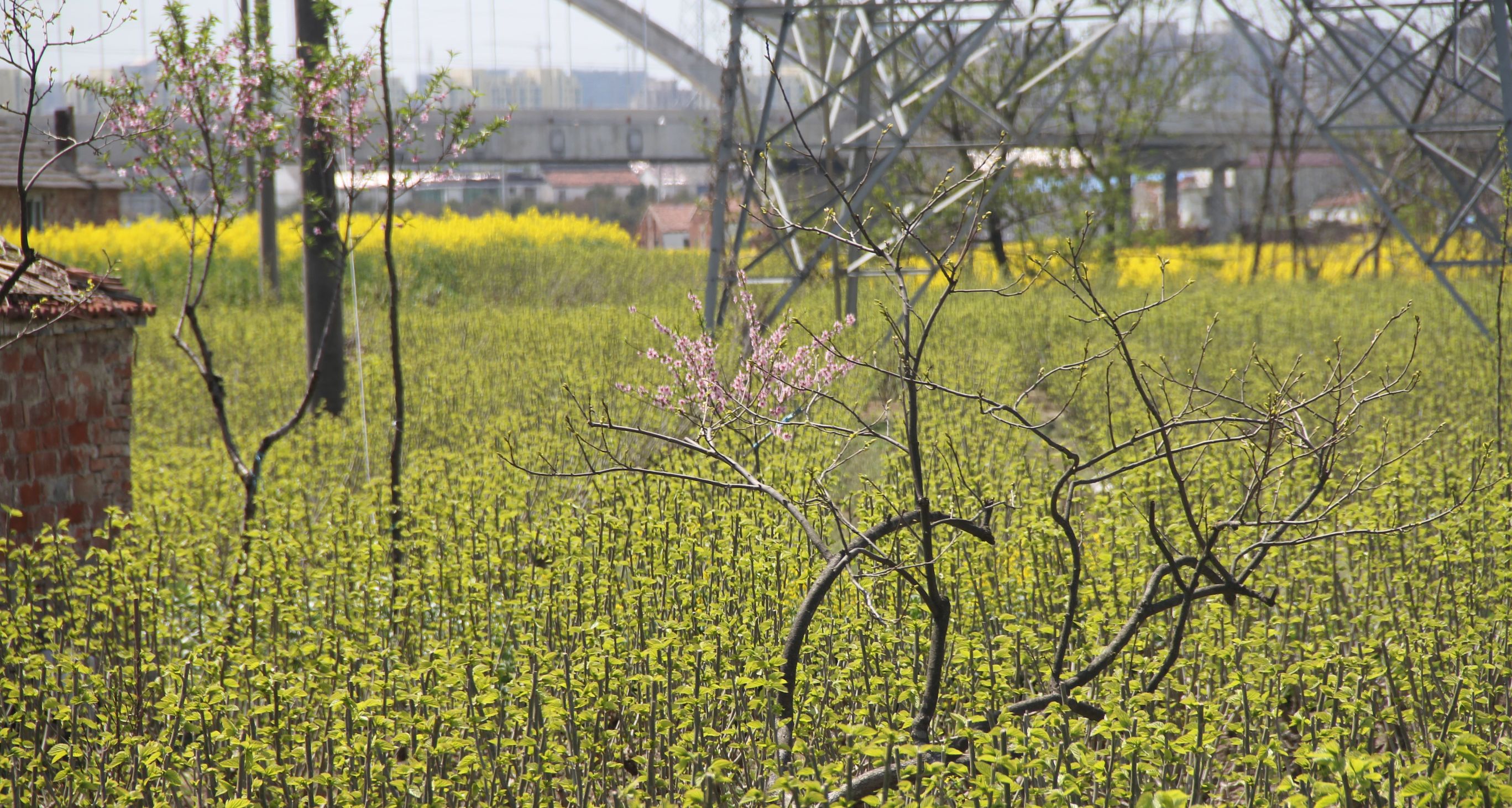 三星s7对比5s,三星s7e和note7