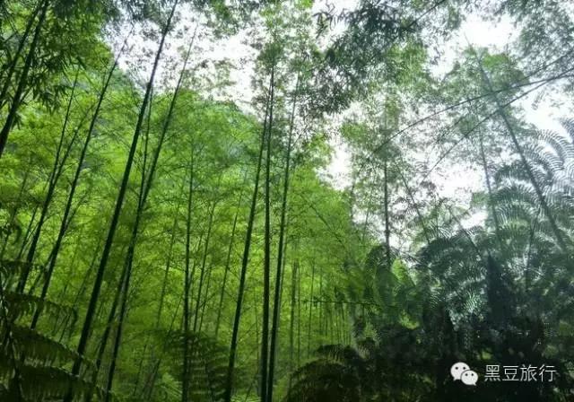 今年五一不出门宅在家里,五一不宅家悦游好时节