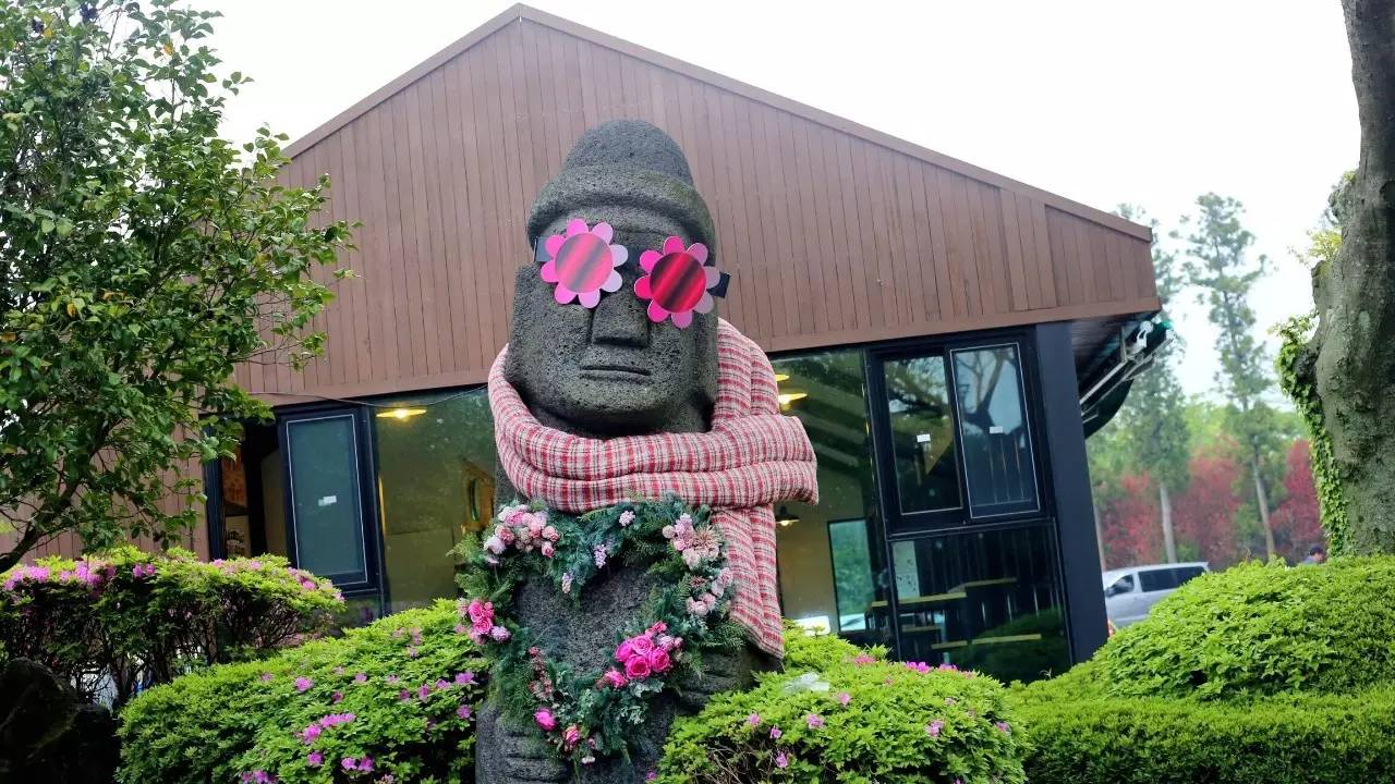 全过程记录,揭秘廉价济州岛跟团游背后的真相