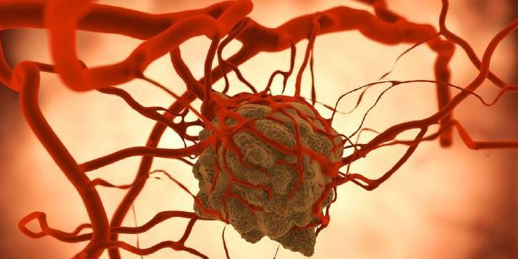 肿瘤和免疫机制研究快速入门,肿瘤的免疫诊断和治疗科普视频