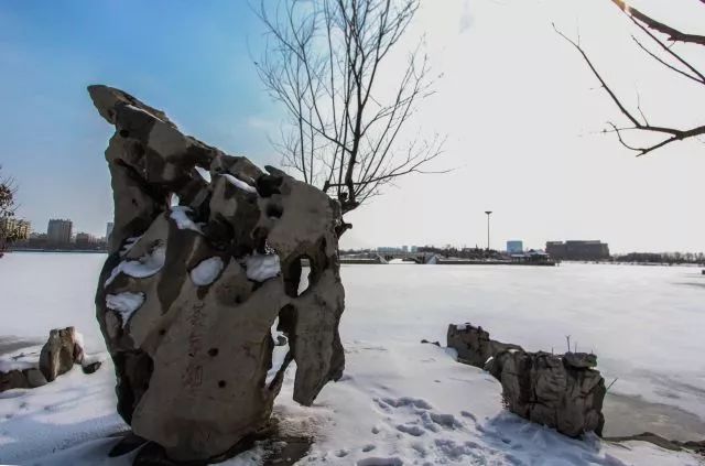 石大校园美景图,石大给父母拍毕业照