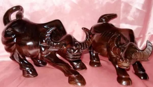 龙州旅游特产,龙州金龙有什么特产