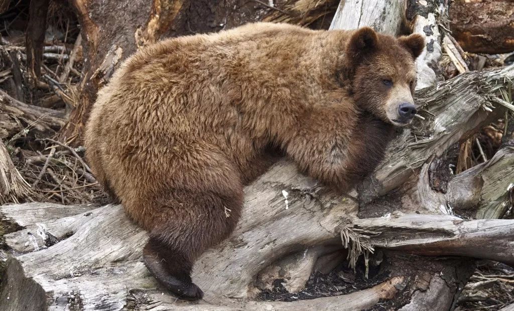 为什么冬天要健身原因有这几点,冬天健身的正确打开方式