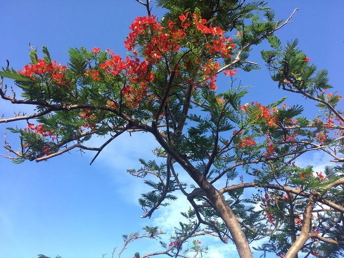 一个人越南攻略,一个人越南自驾游纪录片