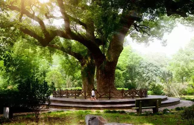 浙江适合旅居的地方,浙江宜居之地