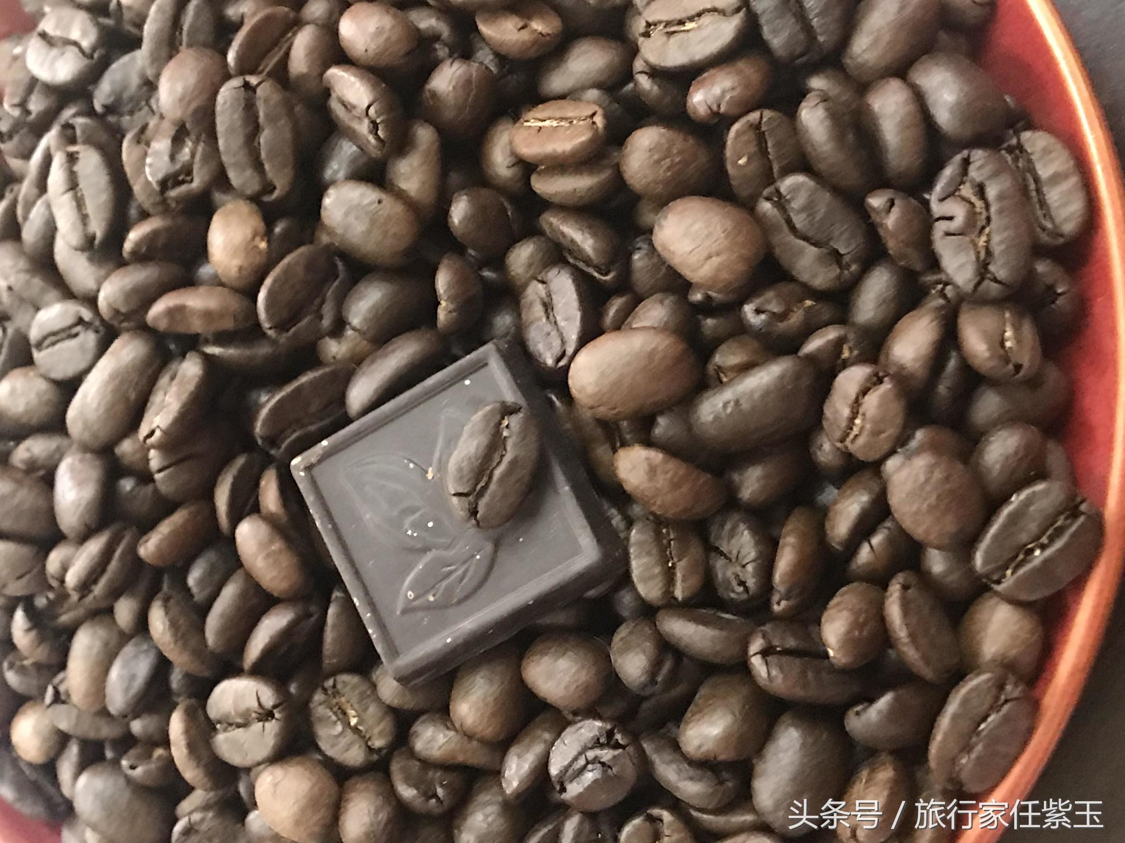 猫屎咖啡和普通咖啡有什么区别呢,猫屎咖啡和云南小粒咖啡哪个好