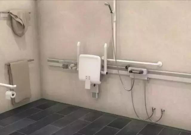 国外适老化卫浴,世界最新卫浴产品