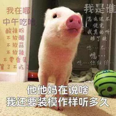 为什么你总是有人追,你为什么要追一个有男朋友的人