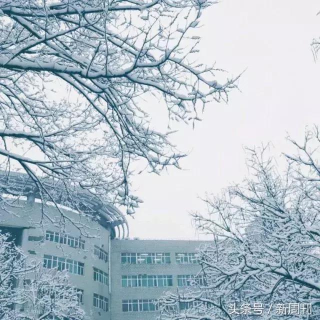 全球最美的十大雪景,全国十大最好看的雪景