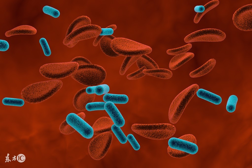 最近报道的毒奶粉,关于毒奶粉最近的报道