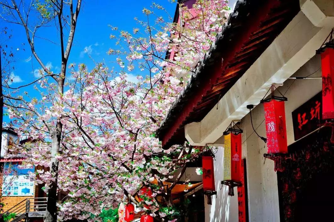 国内最值得自驾的7条绝美路线,自驾21条经典路线图