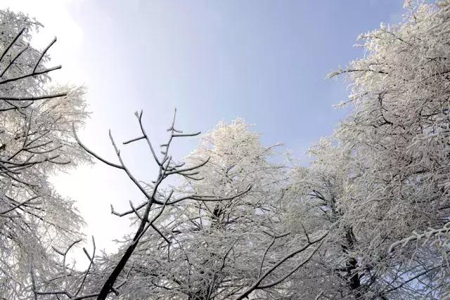 徒步四小时上山看雾凇,这个元旦去哪看雪