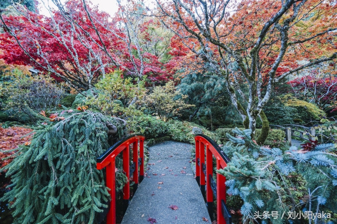 维多利亚水廊旅游,加拿大旅行景点