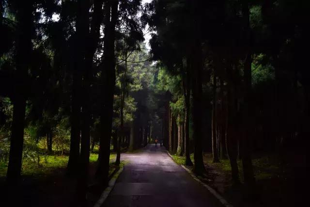 彭水摩围山旅游攻略,彭水摩围山风景区演出活动