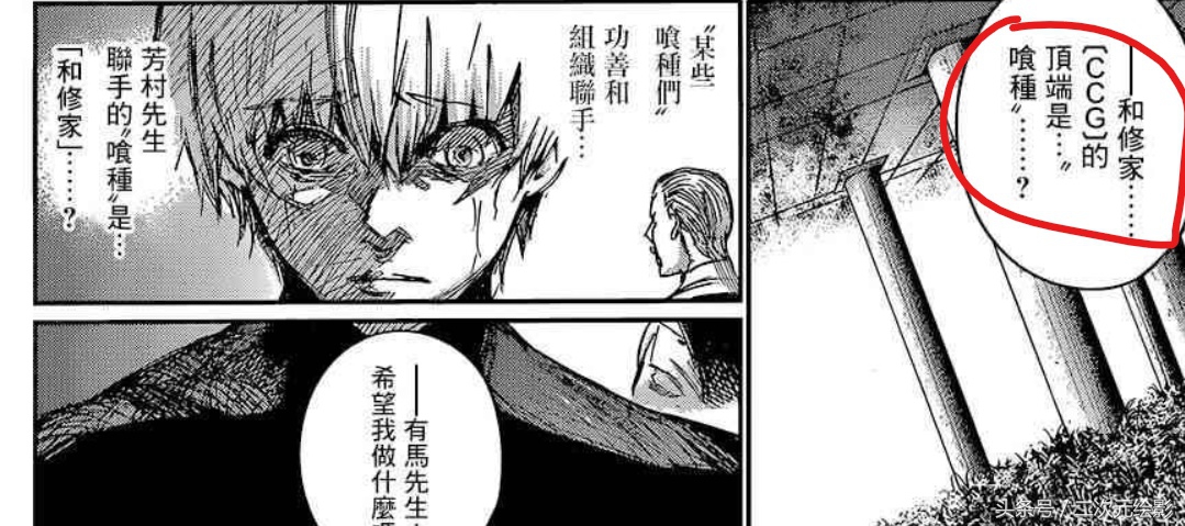 东京食尸鬼ccg和喰种实力划分,东京吃货第四季喰种和ccg合作