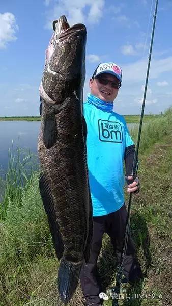 雷强操作教学,雷强雷蛙怎么装