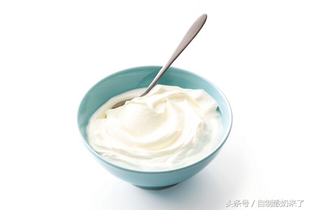 用奶粉和酸奶制作酸奶,自制酸奶棒棒糖的做法不用奶粉