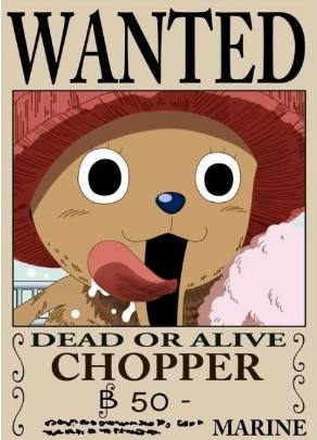 海贼王乔巴的原型是什么鹿,海贼王里面的乔巴是谁起的名