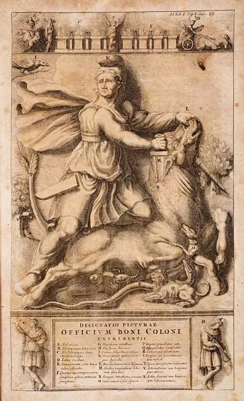 圣诞节到底是谁的生日,圣诞节和谁一起过呢