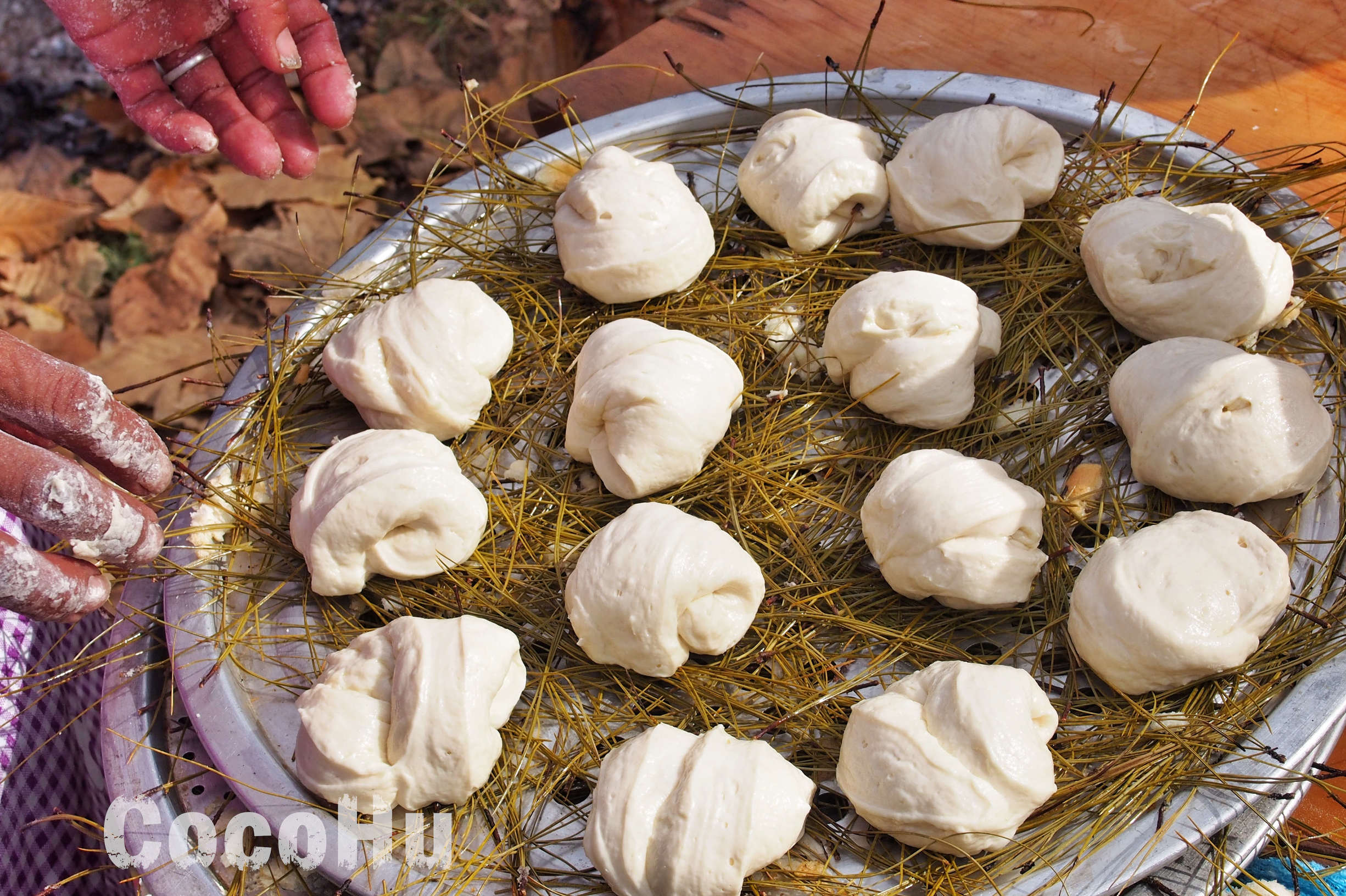 欢歌热舞美食美酒亲历云南维西丰收节