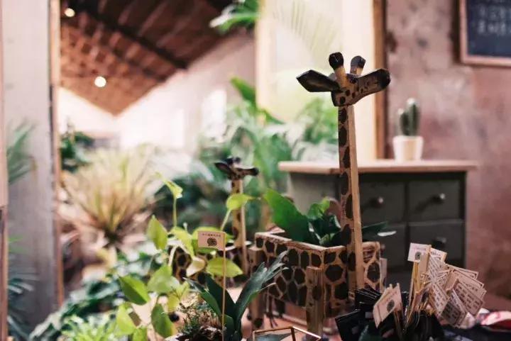 颜值爆表的几处玻璃花房,承载了姑娘们所有的“花房梦”!