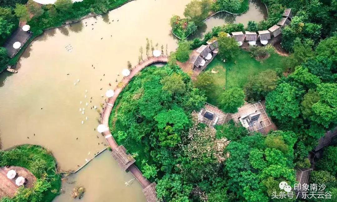 元旦南沙去哪里玩,南沙黄山鲁森林公园游玩攻略