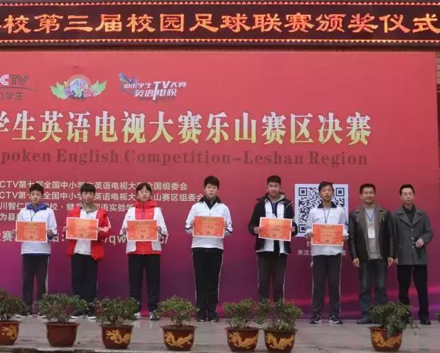 英姿飒爽绿茵场足球赛,绿茵战场足球