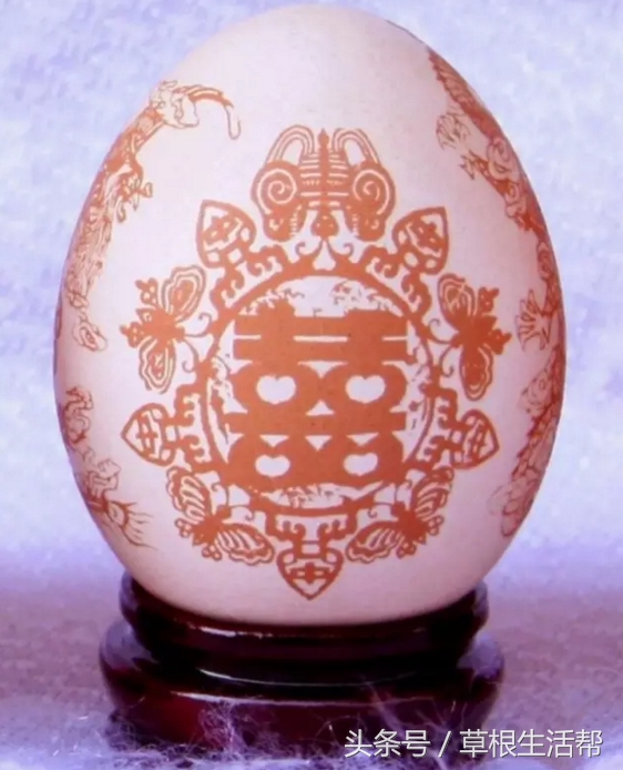 养殖“大笨鸟”，敲开致富门，80后回老家创业成为新一代农场主