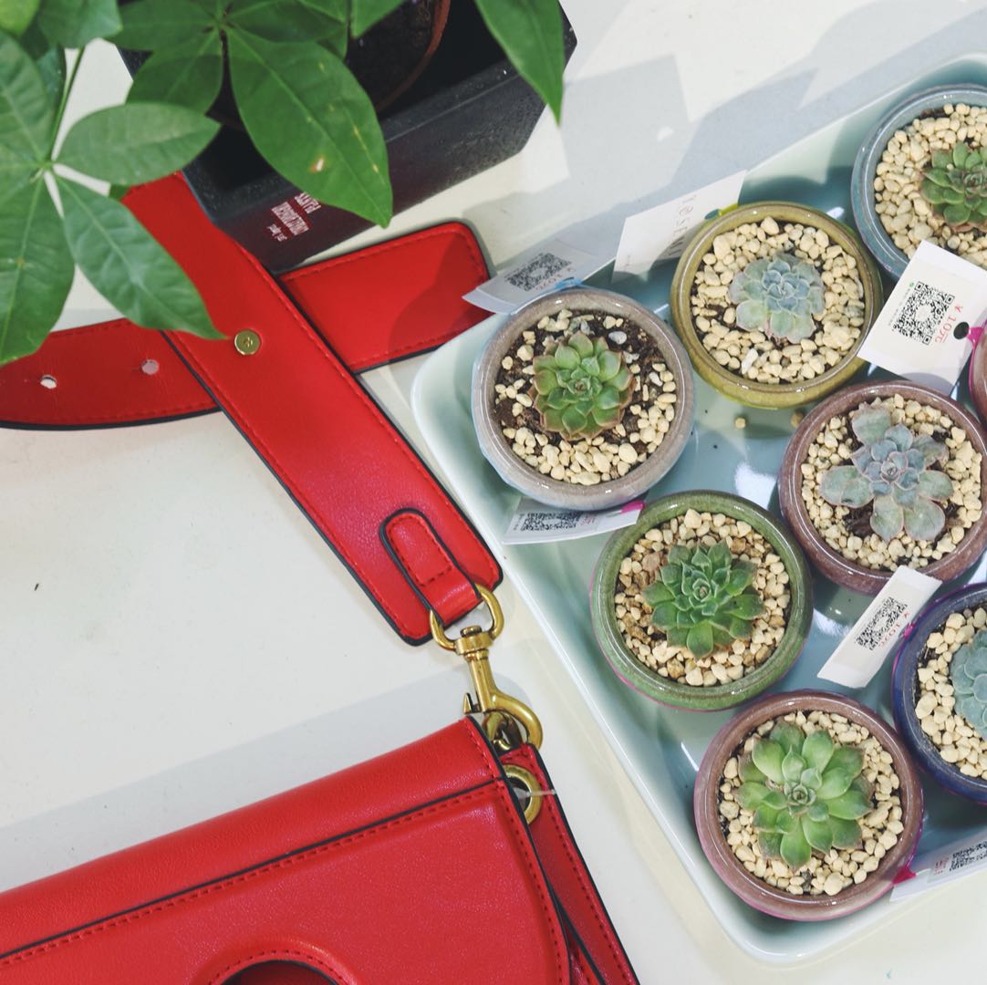 喧闹的社会,喧嚣的城市有这样一家小店