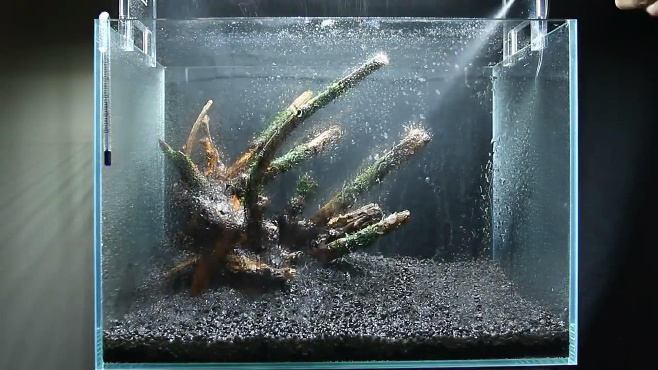 最简单的成品草缸,草缸的制作过程