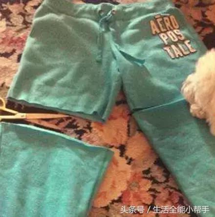 旧衣服怎么给狗狗做小衣服,夏天旧衣服给狗狗做衣服教程