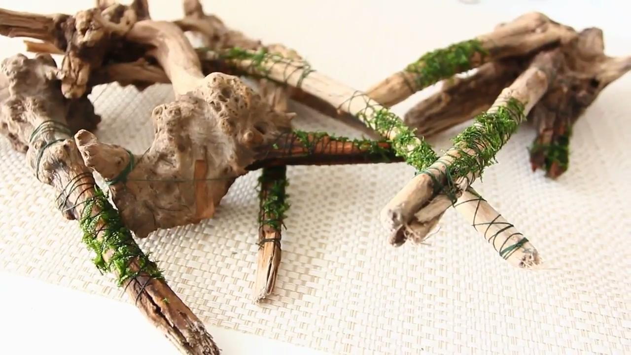 简单的草缸如何制作打理,最简单的小草缸