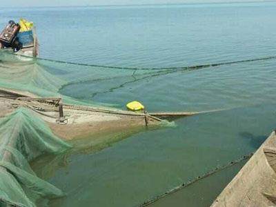 抖音直播捕鱼赚钱,3名网红直播撒网捕鱼