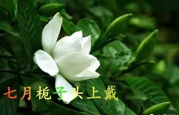 2021绝版绝美挂历,2018精美挂历有吗