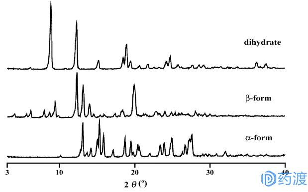 ANDA中晶型监控的案例与分析
