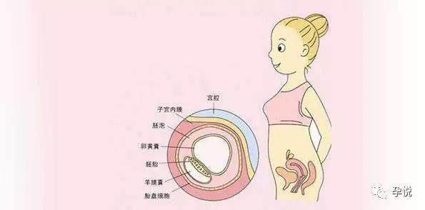 怀孕后不舒服感觉自己病了,孕期肚子不舒服需要马上看医生吗