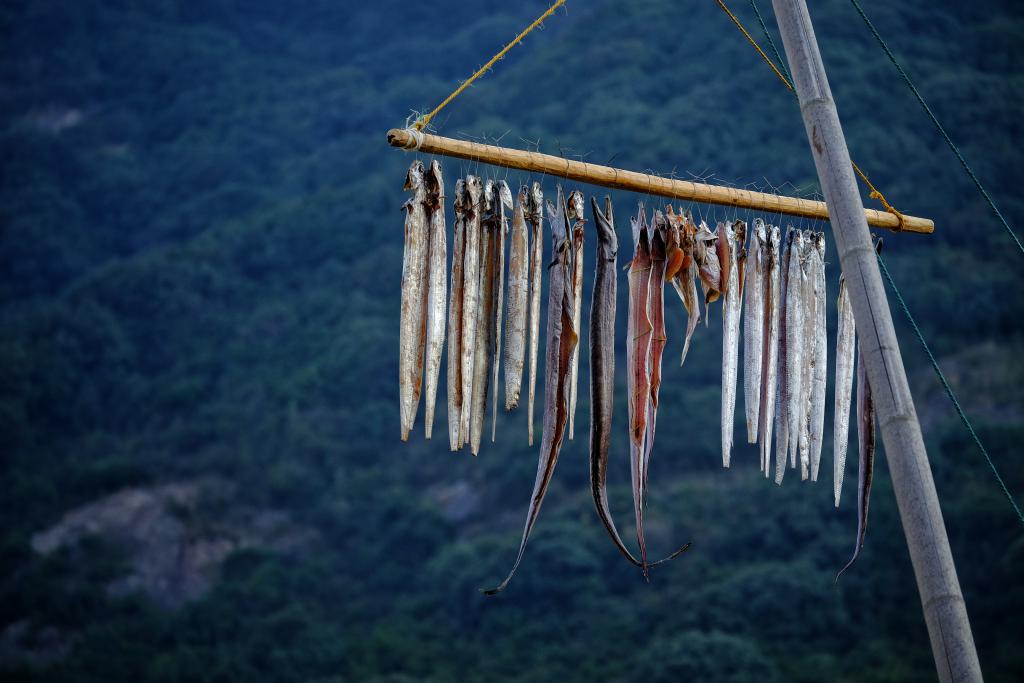 现在的东极岛,你知道凌晨四点的样子吗原视频