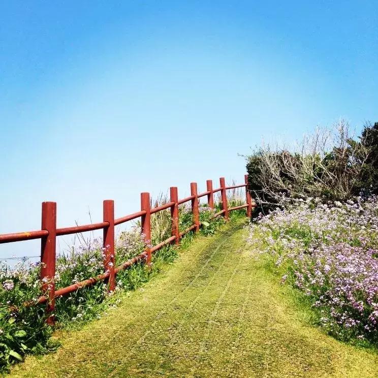 中国护照免签落地签国家,2022中国护照落地签证免签