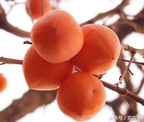 冬闲经济成为农民增收新亮点,冬闲时节人不闲群众就业促增收