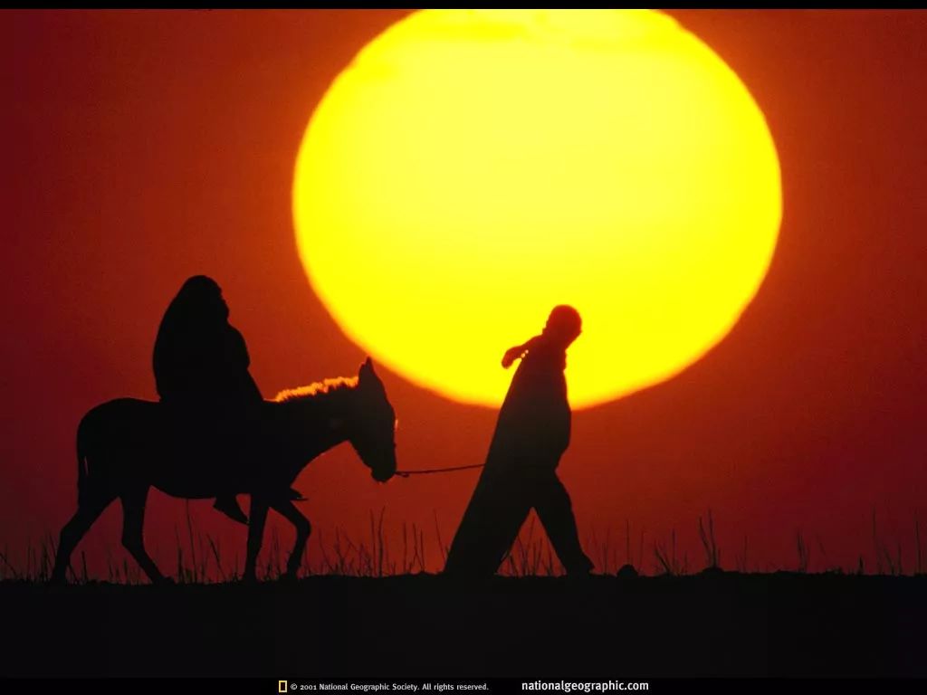 世界首富贝佐斯的决策方法,行业被淘汰怎么办