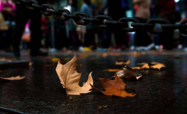 武汉12点：今起可购*春买**运火车票除夕火车票1月17日起售