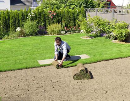 自己在家如何种草坪,自己动手铺草坪效果