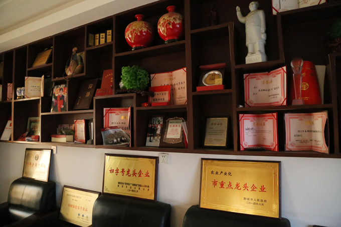 中国好人榜：聊城莘县孔春焕，她领着乡亲们挣大钱